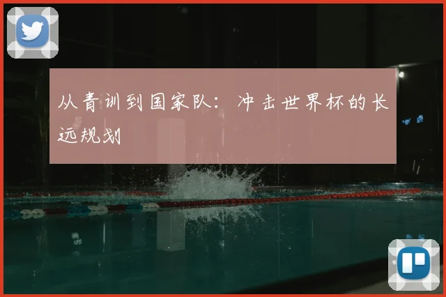 从青训到国家队：冲击世界杯的长远规划